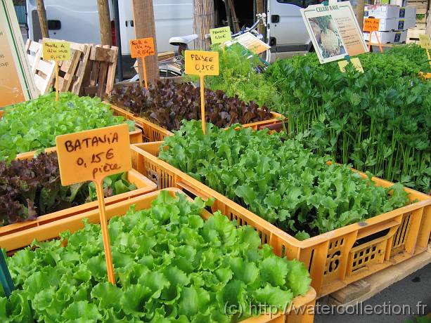 2007-05-12_08-20-17_Mai_37,6mm_1_100_eme_Canon PowerShot A95 